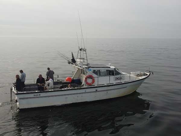 Sport vissen IJmuiden Jelle Visser Sportvisserij Zeevissen in IJmuiden Bootverhuur / Groepen vanaf 8p
