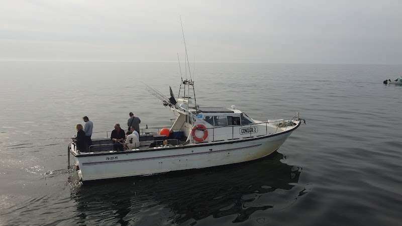 Sport vissen IJmuiden Jelle Visser Sportvisserij Zeevissen in IJmuiden Bootverhuur / Groepen vanaf 8p