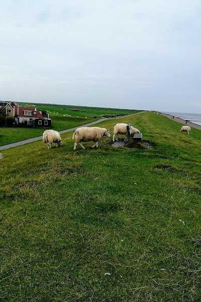 Hengelsport Zurich foto 3