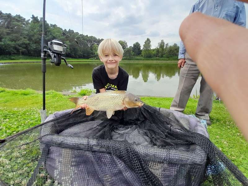 Hengelsport Bruggeman danny