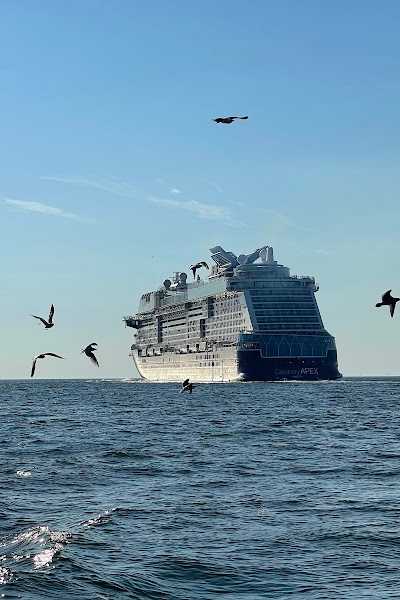 Sportvisserij Jelle Visser Bootverhuur / Groepen vanaf 8 foto 4