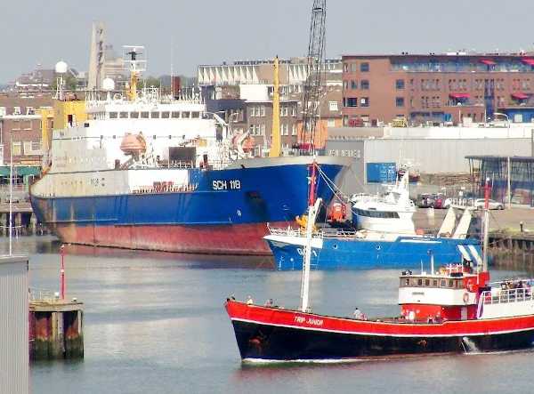 Rederij Trip Sportvissen