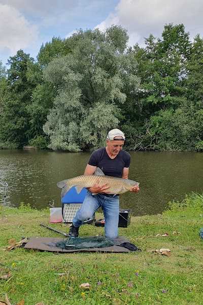 Ritter's Angelwelt foto 5