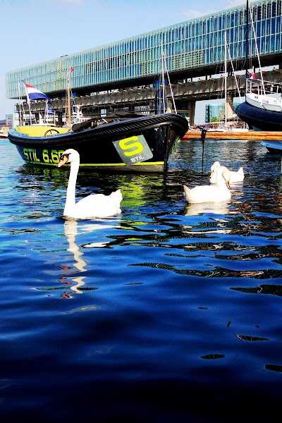 Sloep Huren Grou foto 3