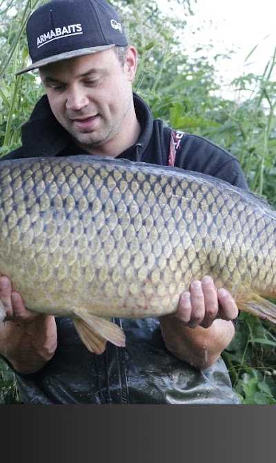 Armabaits foto 2