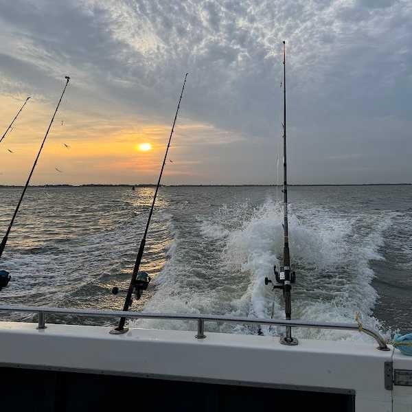 valkyrie zeehengelsport