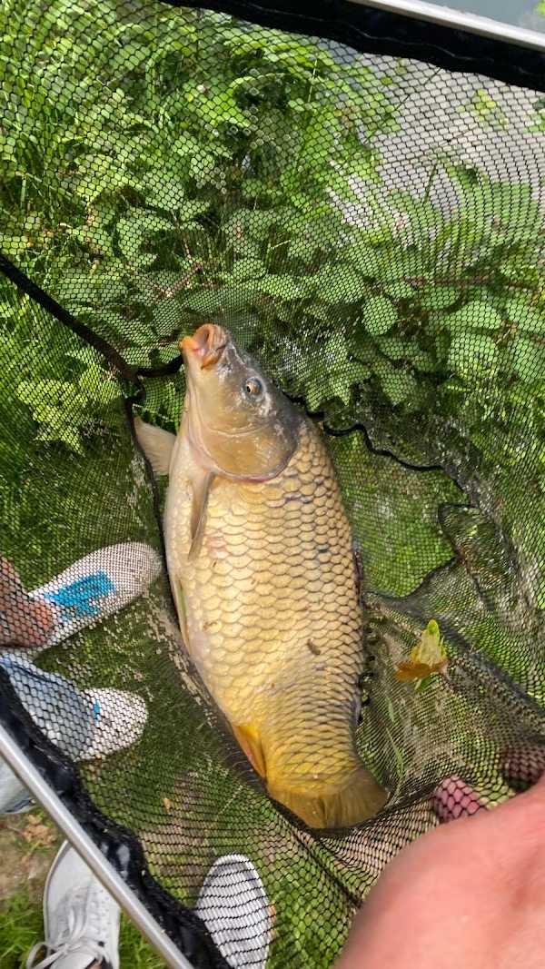 Hengelsport kanaalzicht