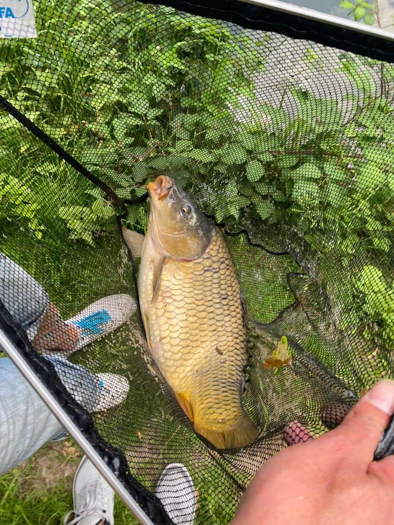 Hengelsport kanaalzicht