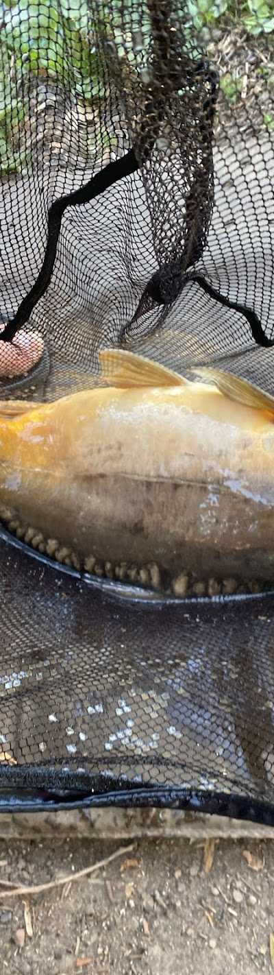 Hengelsport kanaalzicht foto 2