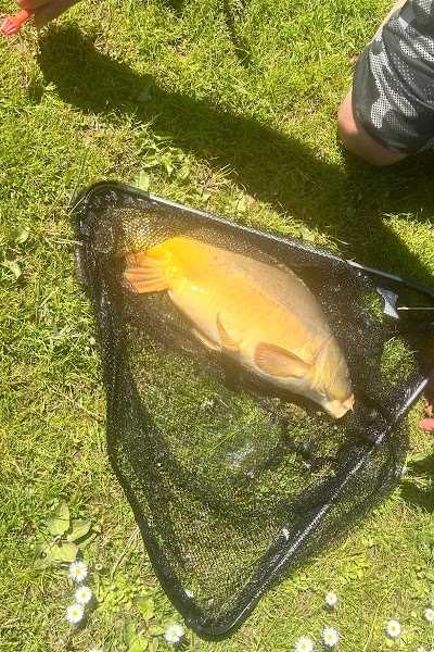 Hengelsport kanaalzicht foto 3