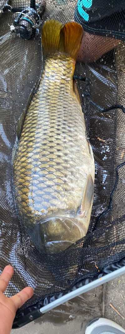 Hengelsport kanaalzicht foto 5