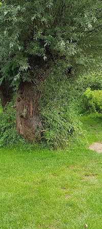 Hengelsportvereniging "De Zwervers"