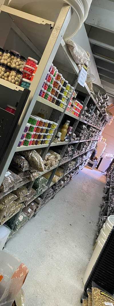 Allinpartikels foto 5