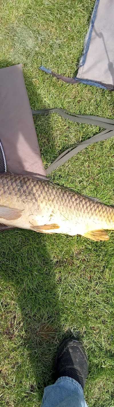 Eurotackle Hengelsport Roermond foto 4