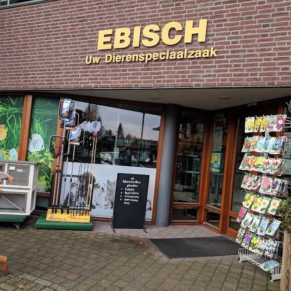 Discus Ebisch