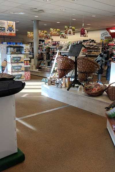 Discus Ebisch foto 5