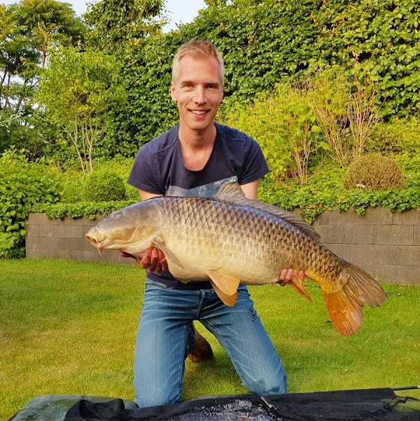 Karper XL (Webshop, geen winkel)