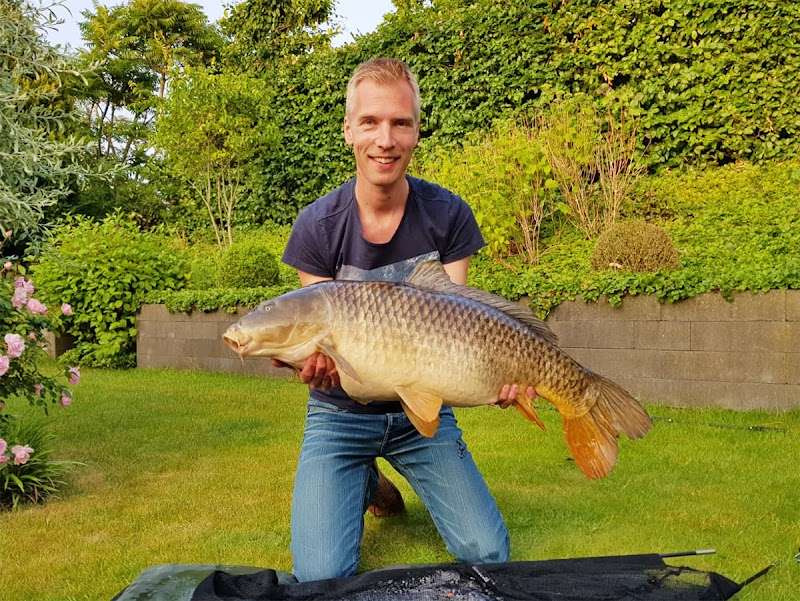 Karper XL (Webshop, geen winkel)