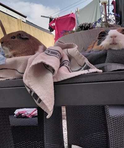 Engelhart hengelsport foto 4