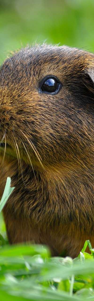 Engelhart hengelsport foto 5