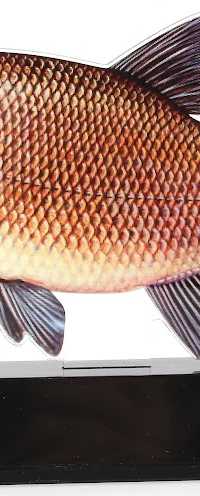 Hengelsportcadeau.nl