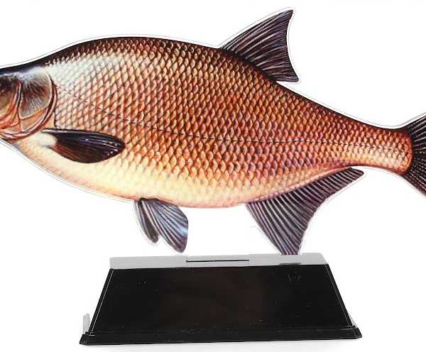 Hengelsportcadeau.nl