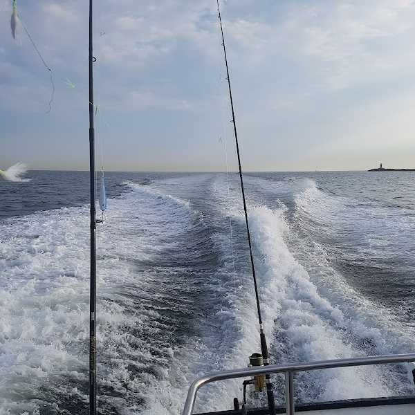 Sport Fishing Company