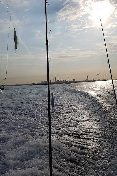 Sport Fishing Company foto 3