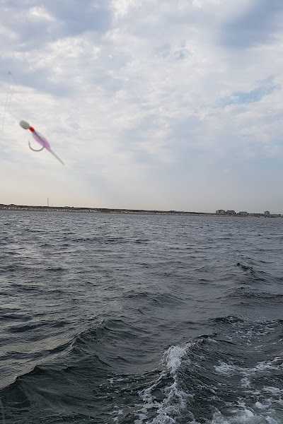 Sport Fishing Company foto 4