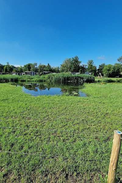 Mölke Activiteiten - Slow Living a/d Regge foto 5