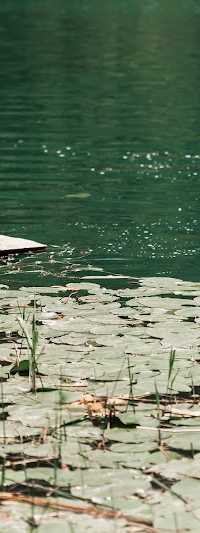 FishingShopXL [Online shop]