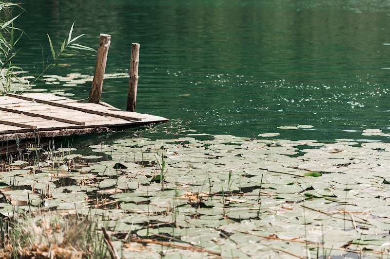 FishingShopXL [Online shop]