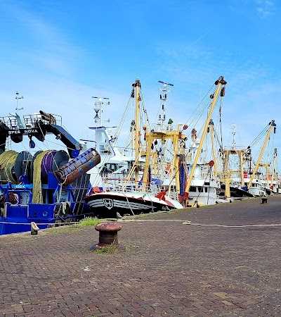 Sportvisserij Ijmuiden foto 3