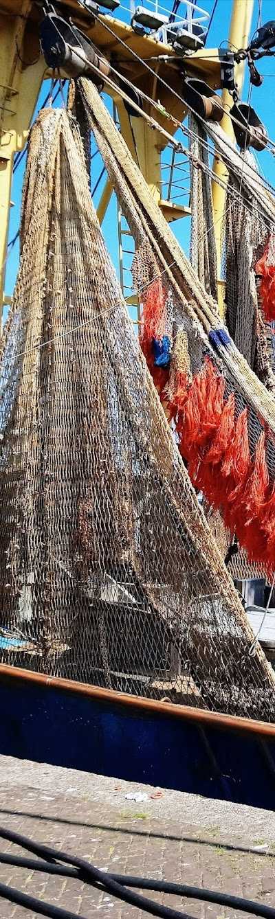 Sportvisserij Ijmuiden foto 5