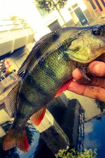 Hengelsport Leiden foto 4