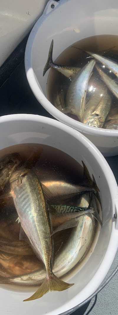 Sharky Charters foto 4