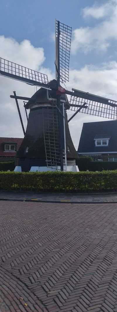 V.O.F. Jorna Zeepierenhandel foto 2