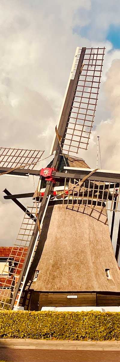 V.O.F. Jorna Zeepierenhandel foto 3