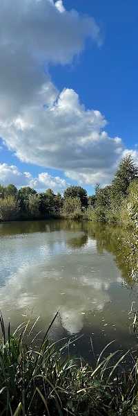 Koningklijke Erkende Veghelse Hengelsport Vereniging