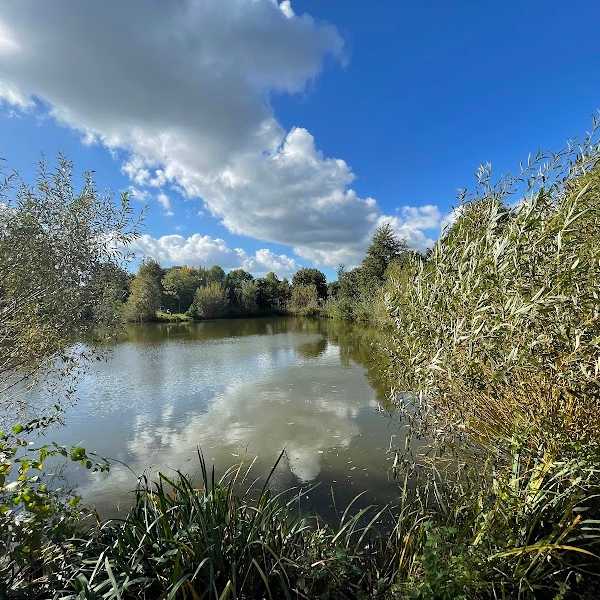 Koningklijke Erkende Veghelse Hengelsport Vereniging
