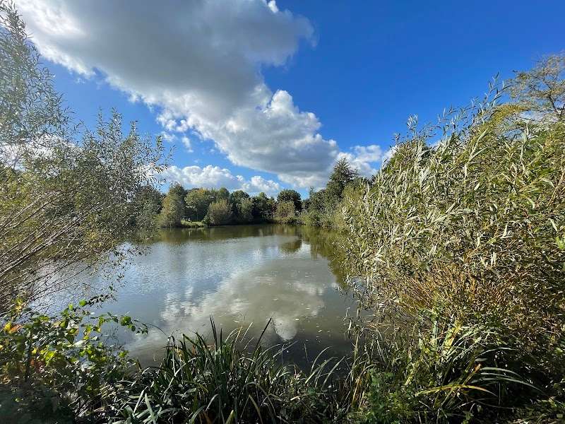 Koningklijke Erkende Veghelse Hengelsport Vereniging