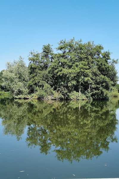 Koningklijke Erkende Veghelse Hengelsport Vereniging foto 2