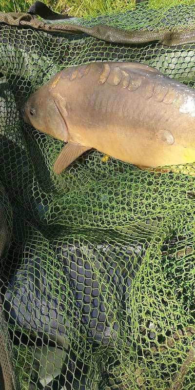 Koningklijke Erkende Veghelse Hengelsport Vereniging foto 4