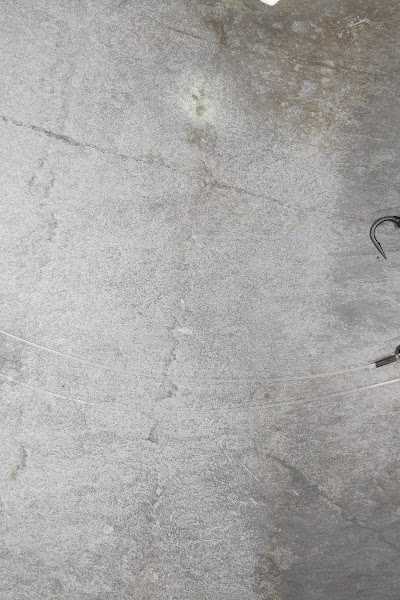 Carp Rig King foto 4