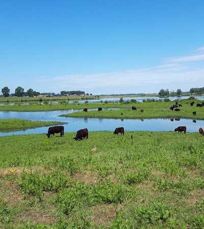 Natuurgebied Negenoord-Kerkeweerd foto 2