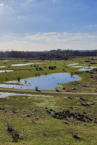 Natuurgebied Negenoord-Kerkeweerd foto 4