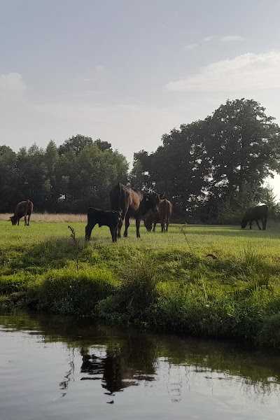 Schöppert bootverhuur foto 3