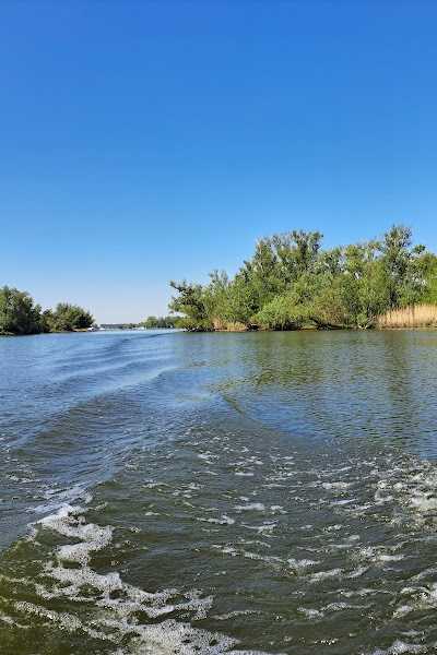 Happy Boats | de Biesbosch foto 4