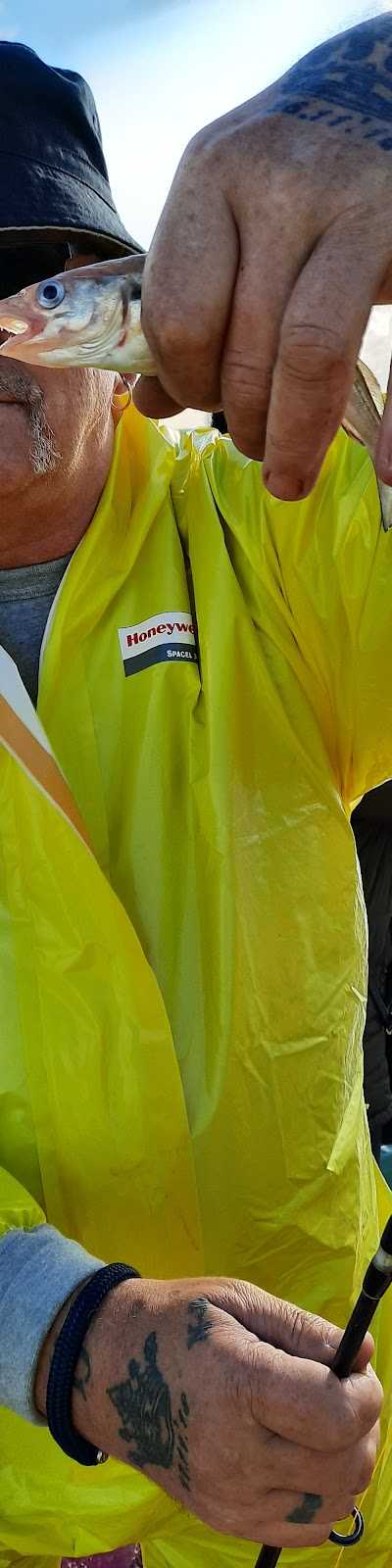 Sportvisserij Beatrix foto 2