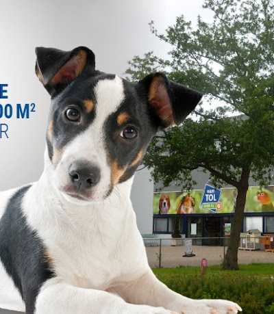 Van Tol Dier XL foto 2